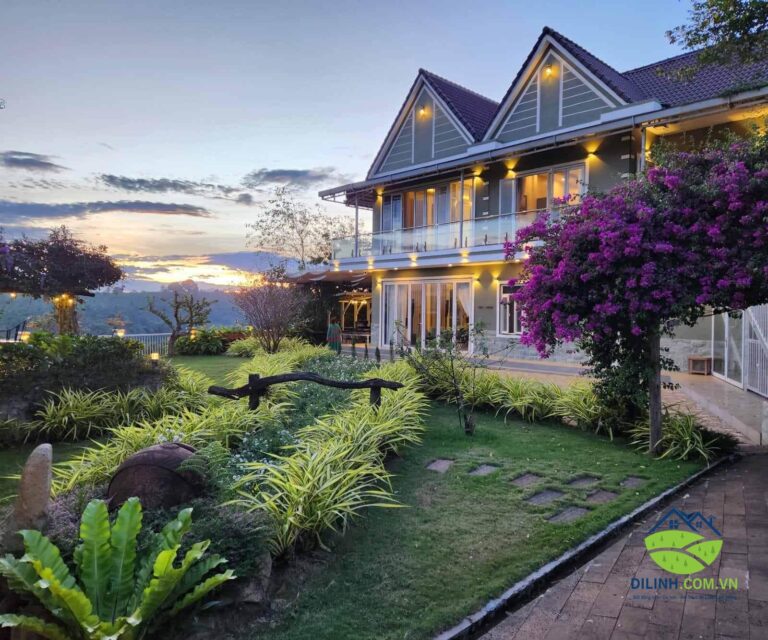 🏡 Homestay ở Di Linh – Điểm Hẹn An Yên Giữa Cao Nguyên Lâm Đồng