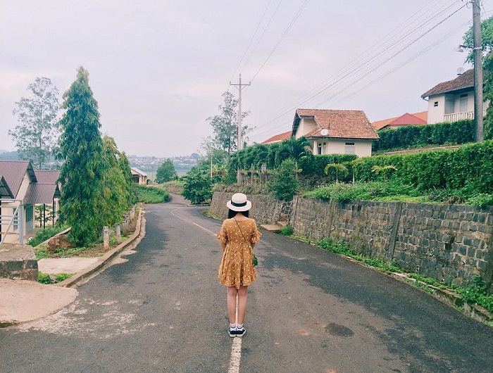 Đồi xanh bạt ngàn Di Linh Lâm Đồng hưởng lợi từ cao tốc